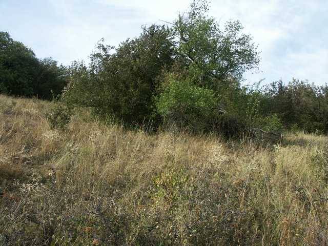 Místo odchytu ještěrek